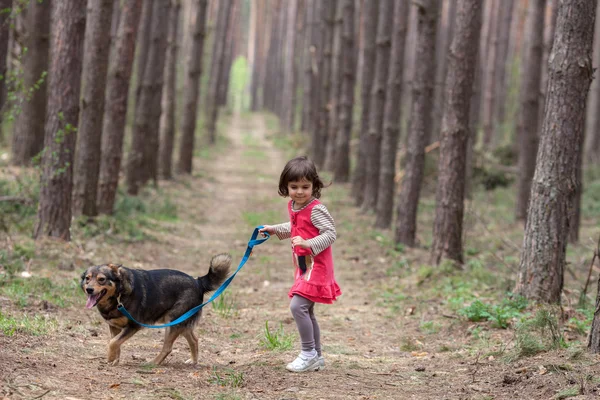Bambina che cammina con il cane — Foto Stock