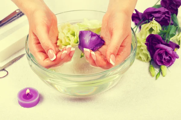 Female hands with perfect french manicure — Stock Photo, Image