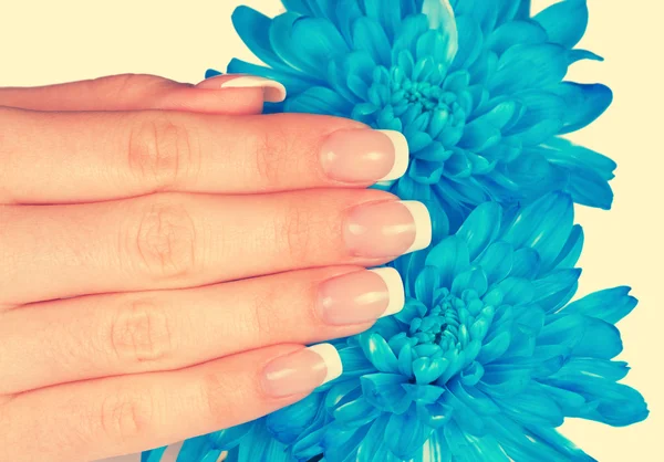 Female hand with perfect french manicure — Stock Photo, Image