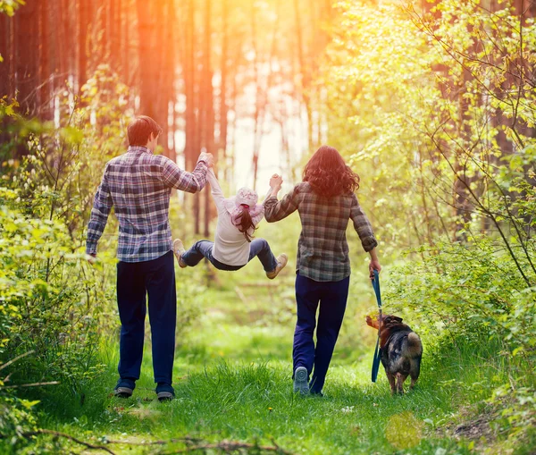 Familie wandelen in het bos — Stockfoto