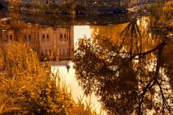 Réflexion dans le lac — Photo