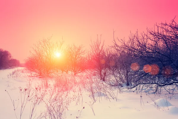 Winter morning — Stock Photo, Image