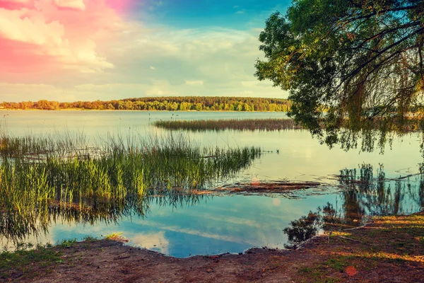 Lake at sunset — Stock Photo, Image