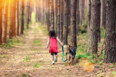 Küçük kız ile büyük köpek yürüyüş
