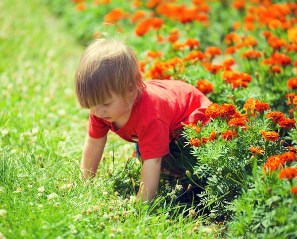 Little boy crawls on all fours — Stock Photo, Image