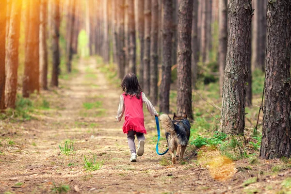 Petite fille marchant avec un gros chien — Photo