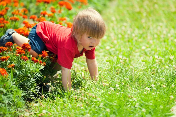 Little boy crawls on all fours — Stock Photo, Image