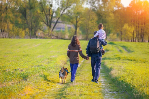 Glückliche Familie geht mit Hund spazieren Stockbild