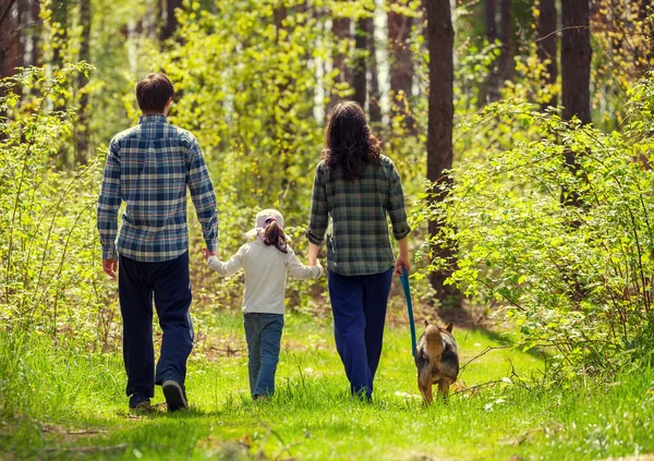 Familia con perro paseando en el bosque — Foto de Stock