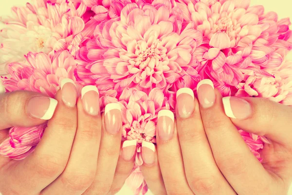 Mãos femininas com manicure francês perfeito — Fotografia de Stock