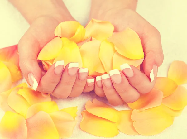 Mãos femininas com manicure francês perfeito — Fotografia de Stock