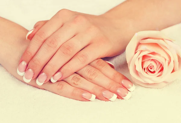 Vrouwelijke handen met perfecte Franse manicure — Stockfoto