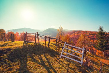 Güneşli bir sonbahar gününde renkli dağ yamaçlarının manzarası. Güzel manzara. Carpathian Dağları, Karpatya Rusçası, Ukrayna