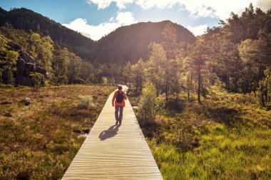 Genç bir adam güneşli bir günde bir dağ vadisinde sahil boyunca yürür. Norveç 'te Preikestolen Yolu