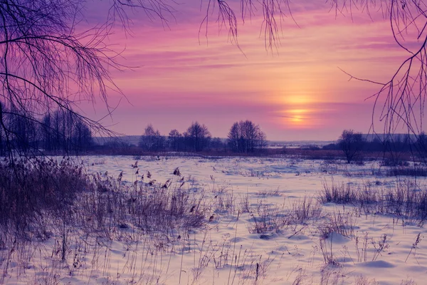 Güzel Kış Pembe Günbatımı Karlı Alan Üzerinde — Stok fotoğraf