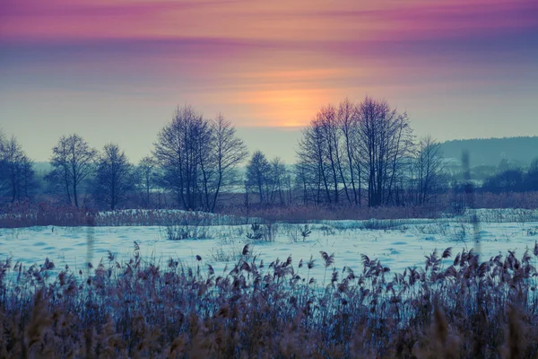 Zonsondergang Prachtige Winter Besneeuwde Veld — Stockfoto