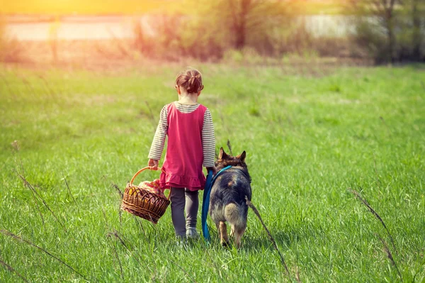 Little girl walking with dog — Stock Photo, Image