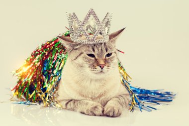 Kafasında bir taç ile bir kedi