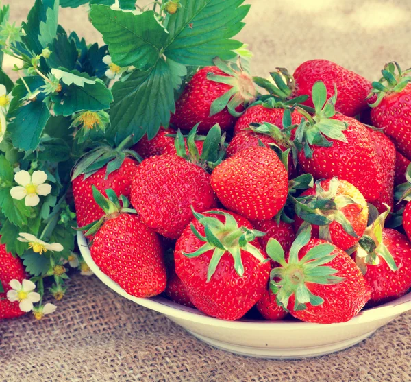 Strawberries in a bowl — Stock Photo, Image