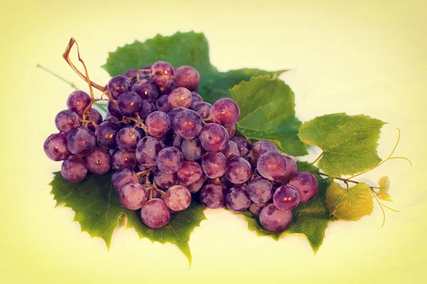 Бросай виноград. — стоковое фото