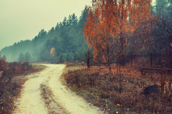 Jesień Krajobraz wiejski — Zdjęcie stockowe