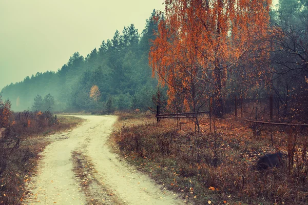 Autumn rural landscape — Stock Photo, Image