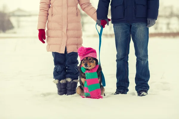 Jovem casal andando com cão — Fotografia de Stock