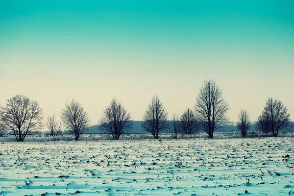 Зимнее снежное поле — стоковое фото