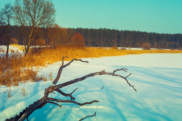 Campo innevato al tramonto — Foto Stock