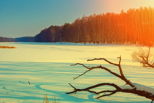 Gün batımında karlı tarla — Stok fotoğraf