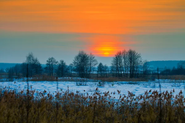 Pôr do sol sobre o campo nevado — Fotografia de Stock