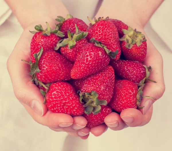 Strawberries in female hands — Stock Photo, Image