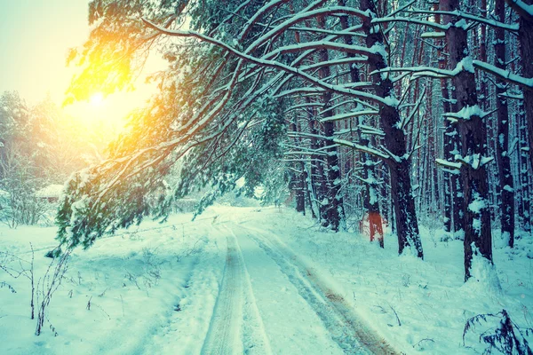 Сільських зимовий пейзаж — стокове фото