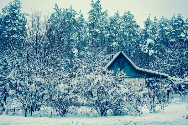 Winter in countryside — Stock Photo, Image