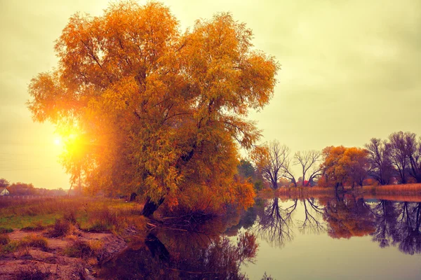 Lago ao nascer do sol — Fotografia de Stock