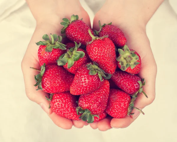 Fraises Dans Les Mains Des Femmes — Photo