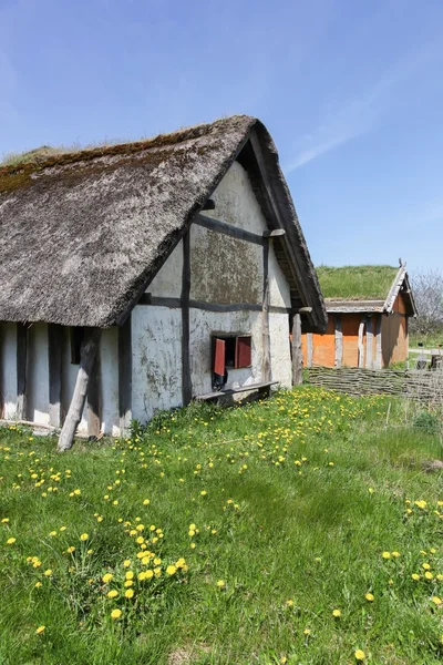 Viking huizen in Ribe, Denemarken — Stockfoto