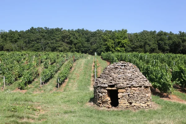 Old and typical stone hut in the vineyards of Beaujolais — Stock Photo, Image