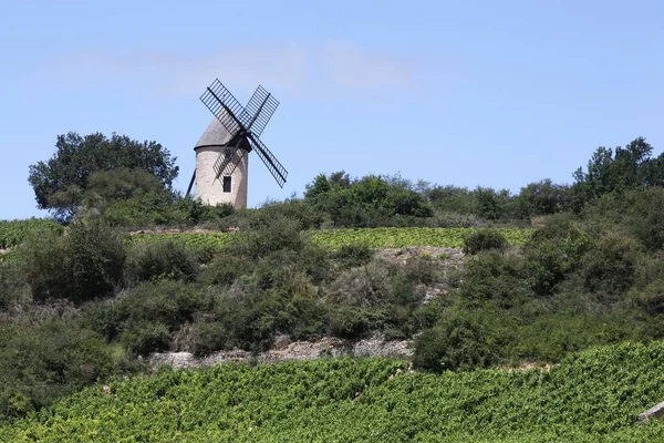 Landscape Chassagne Montrachet Vineyards Burgundy France — Stock Photo, Image