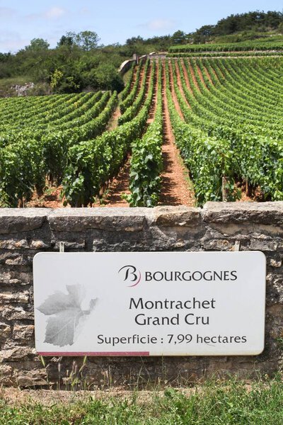 Шассань-Монтраше, Франция - 5 июля 2020 года: Montrachet Grand Cru, вино Бургундии дорожный знак, Франция