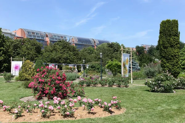 Park Des Goldenen Kopfes Lyon Frankreich — Stockfoto