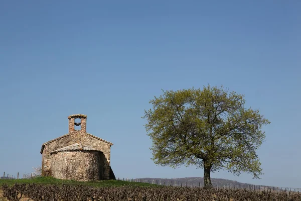 Landscape in Beaujolais — Stock Photo, Image