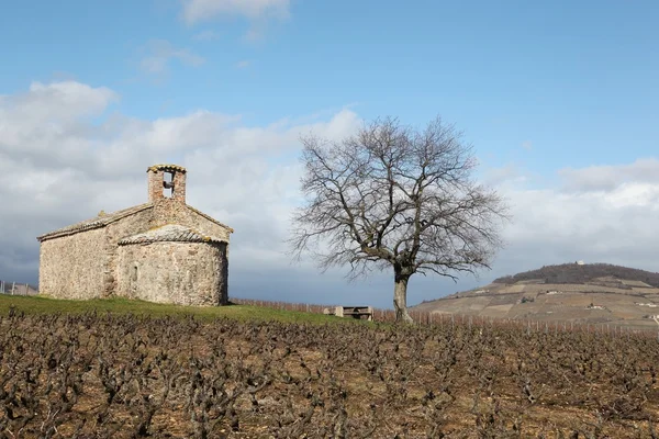 Beaujolais içinde Chapel Saint-Pierre — Stok fotoğraf