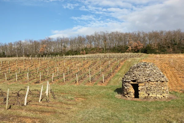 Old and typical stone hut in the vineyards of Beaujolais, France — Stock Photo, Image