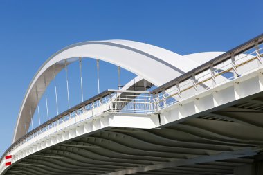 Raymond Barre bridge in Lyon clipart