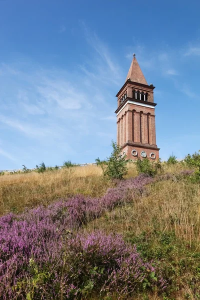 Himmelbjerget in de buurt van Silkeborg in Denemarken — Stockfoto