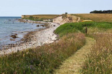 Danimarka 'nın Tun adasında kıyı yürüyüşü patikası olan bir manzara