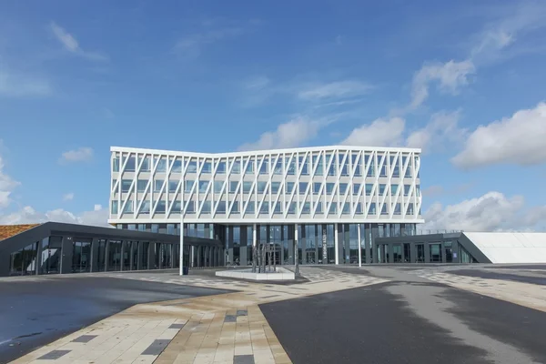 Stadhuis van Viborg in Denemarken — Stockfoto