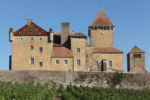 Pierreclos κάστρο σε Μπορντό, Γαλλία — Φωτογραφία Αρχείου