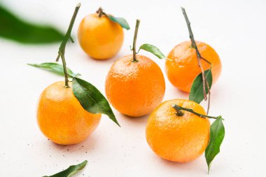 Mandalina taze ve yaprakları yakın.